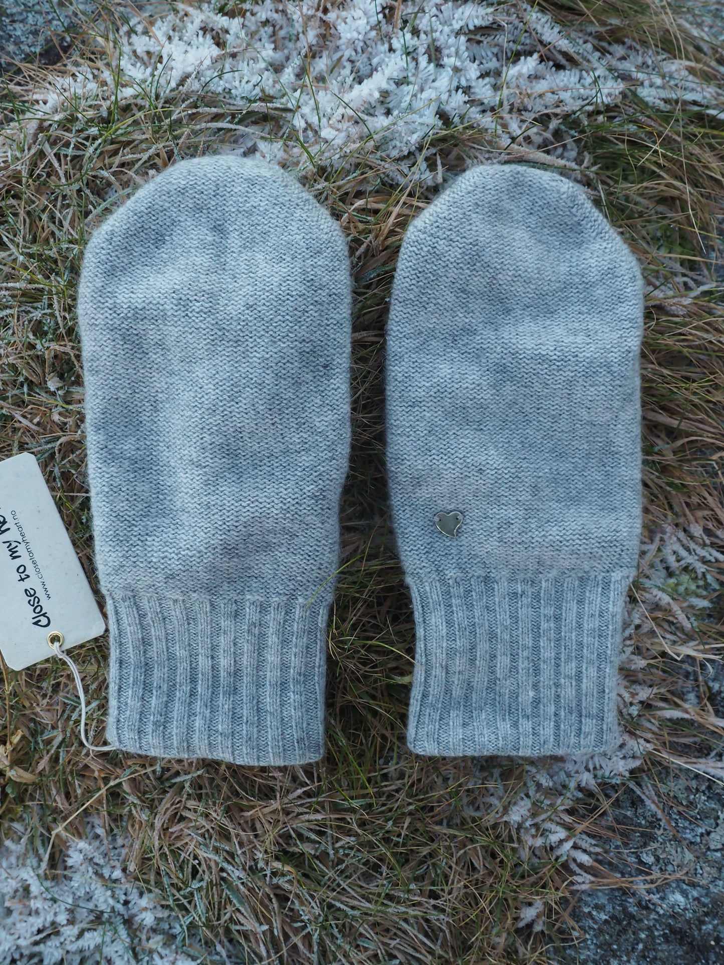 Lucas mittens