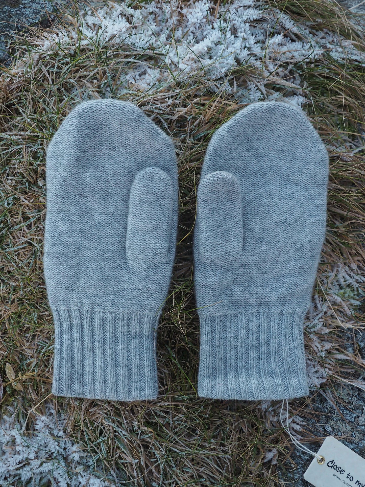 Lucas mittens