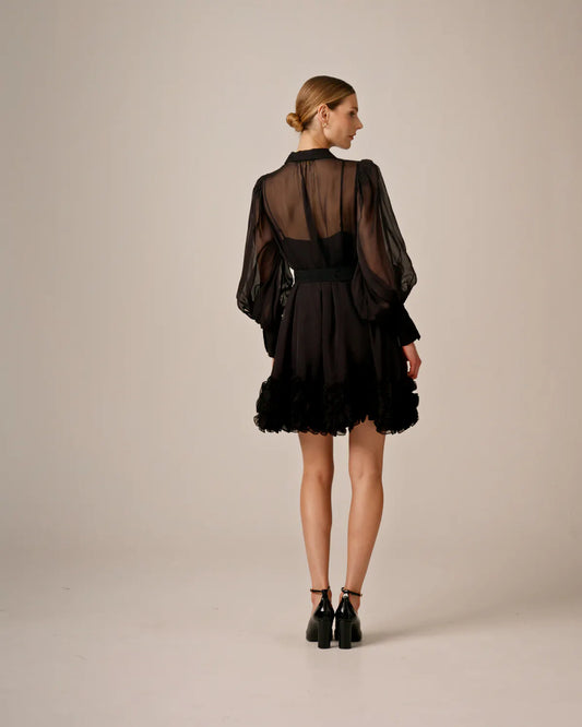 Organza mini dress